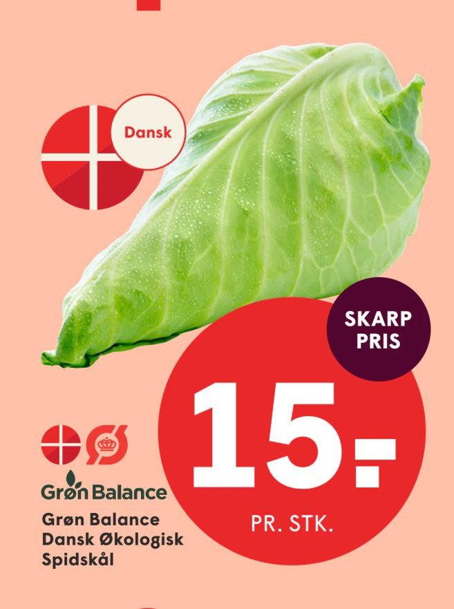 Grøn Balance Dansk Økologisk Spidskål – Spar