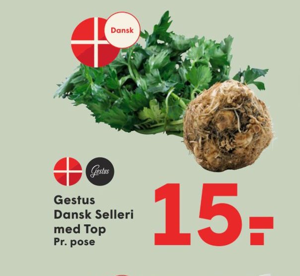Gestus Dansk Selleri med Top – Spar