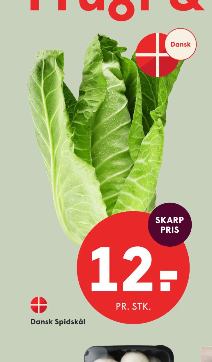 Dansk Spidskål – Spar
