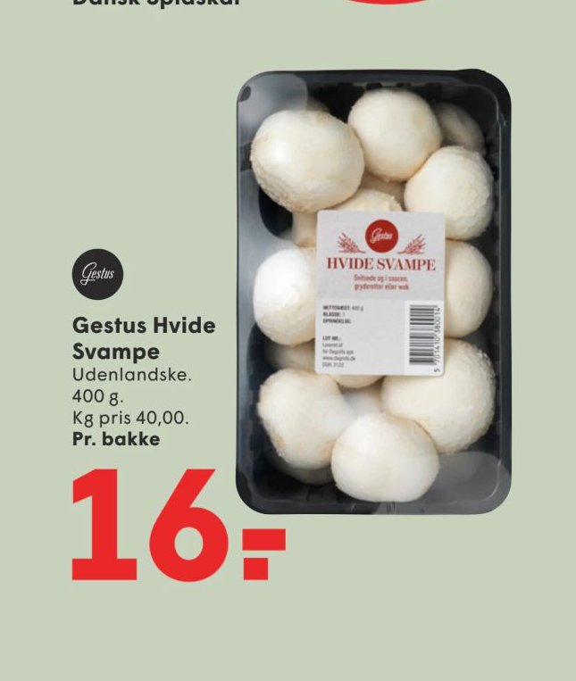 Gestus Hvide Svampe – Spar