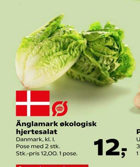 Änglamark økologisk hjertesalat Danmark, kl. I. Pose med 2 stk. Stk.-pris 12,00. 1 pose. – SuperBrugsen