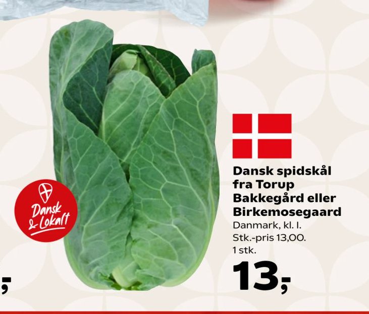 Dansk spidskål fra Torup Bakkegård eller Birkemosegaard Danmark, kl. I. Stk.-pris 13,00. 1 stk. – SuperBrugsen